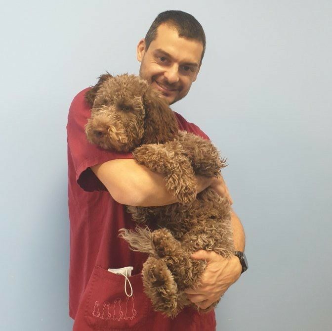 Il dottor Michele Gatto con in braccio un cane
